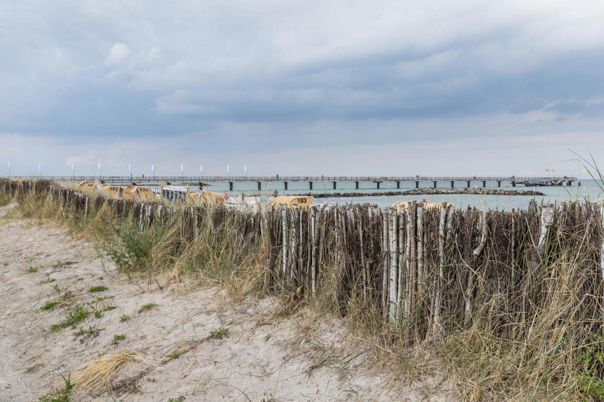 Treibholz - Feriendomizil Ostsee Schonberger Strand Eksteriør billede